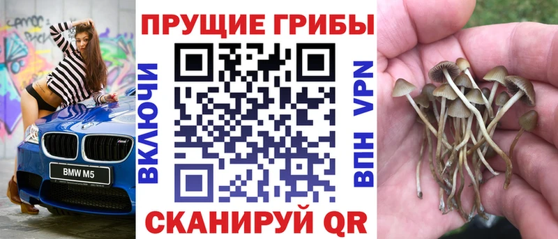закладки  Мурино  площадка какой сайт  Галлюциногенные грибы ЛСД 